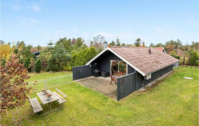 3 Bedroom Stunning Home In Skjern